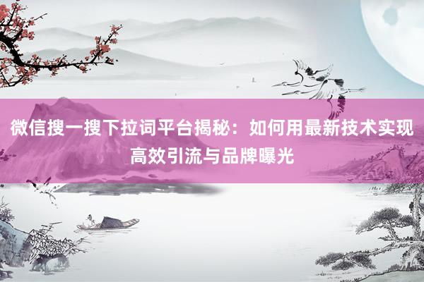 微信搜一搜下拉词平台揭秘：如何用最新技术实现高效引流与品牌曝光