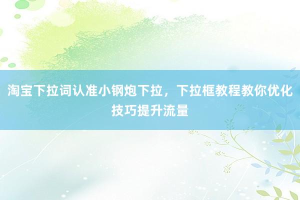 淘宝下拉词认准小钢炮下拉，下拉框教程教你优化技巧提升流量