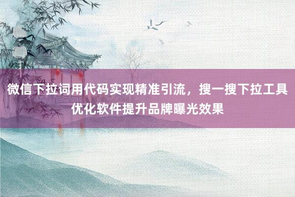 微信下拉词用代码实现精准引流，搜一搜下拉工具优化软件提升品牌曝光效果