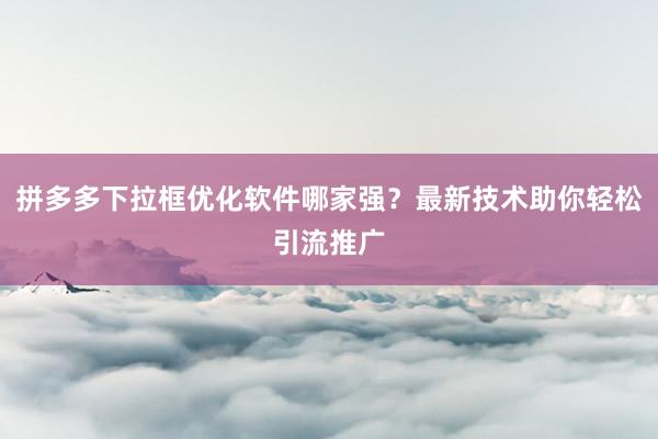 拼多多下拉框优化软件哪家强？最新技术助你轻松引流推广