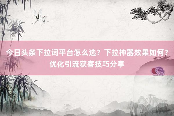 今日头条下拉词平台怎么选？下拉神器效果如何？优化引流获客技巧分享