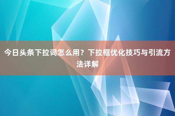 今日头条下拉词怎么用？下拉框优化技巧与引流方法详解