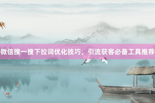 微信搜一搜下拉词优化技巧，引流获客必备工具推荐