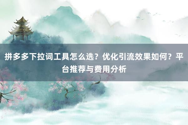 拼多多下拉词工具怎么选？优化引流效果如何？平台推荐与费用分析