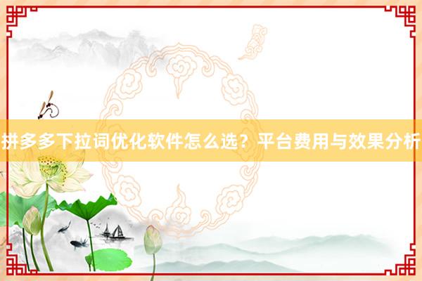 拼多多下拉词优化软件怎么选？平台费用与效果分析