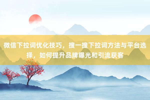 微信下拉词优化技巧，搜一搜下拉词方法与平台选择，如何提升品牌曝光和引流获客