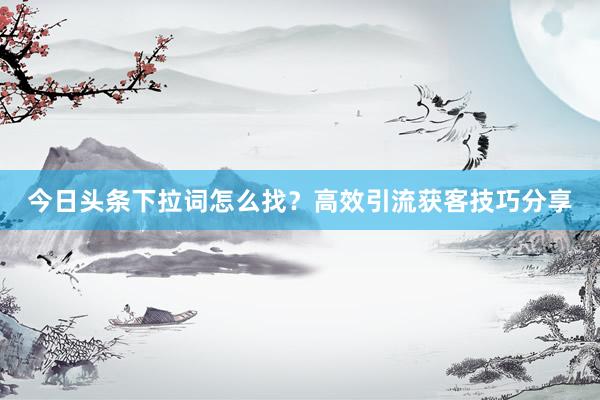 今日头条下拉词怎么找？高效引流获客技巧分享
