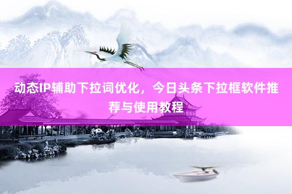 动态IP辅助下拉词优化，今日头条下拉框软件推荐与使用教程