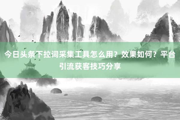 今日头条下拉词采集工具怎么用？效果如何？平台引流获客技巧分享