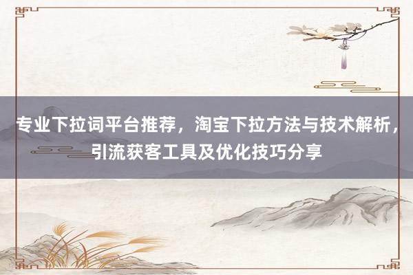 专业下拉词平台推荐，淘宝下拉方法与技术解析，引流获客工具及优化技巧分享