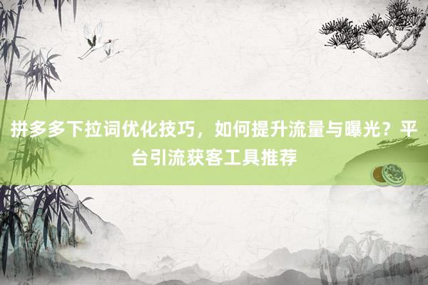 拼多多下拉词优化技巧，如何提升流量与曝光？平台引流获客工具推荐