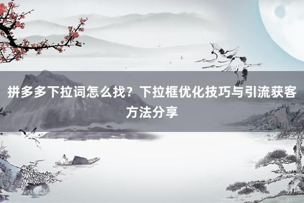 拼多多下拉词怎么找？下拉框优化技巧与引流获客方法分享