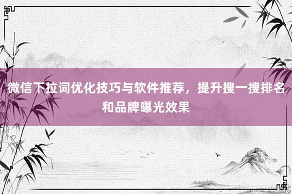 微信下拉词优化技巧与软件推荐，提升搜一搜排名和品牌曝光效果