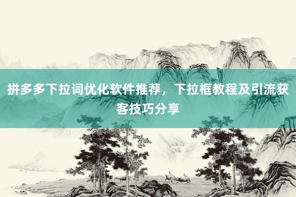 拼多多下拉词优化软件推荐，下拉框教程及引流获客技巧分享