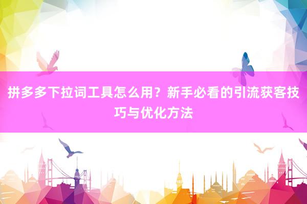 拼多多下拉词工具怎么用？新手必看的引流获客技巧与优化方法