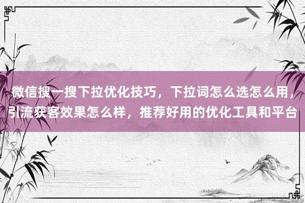 微信搜一搜下拉优化技巧，下拉词怎么选怎么用，引流获客效果怎么样，推荐好用的优化工具和平台