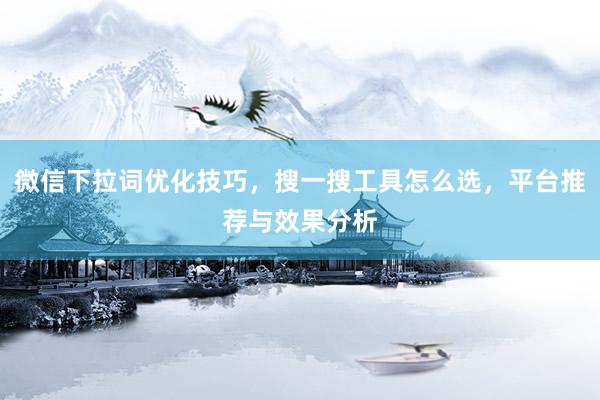 微信下拉词优化技巧，搜一搜工具怎么选，平台推荐与效果分析