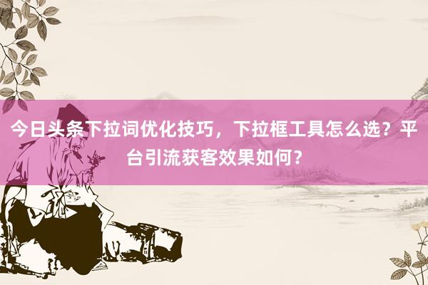 今日头条下拉词优化技巧，下拉框工具怎么选？平台引流获客效果如何？
