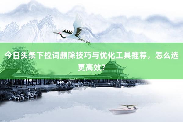 今日头条下拉词删除技巧与优化工具推荐，怎么选更高效？