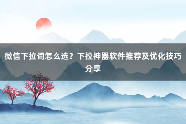 微信下拉词怎么选？下拉神器软件推荐及优化技巧分享