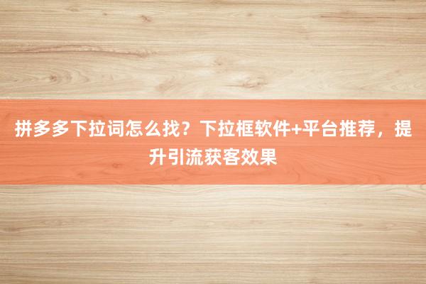 拼多多下拉词怎么找？下拉框软件+平台推荐，提升引流获客效果
