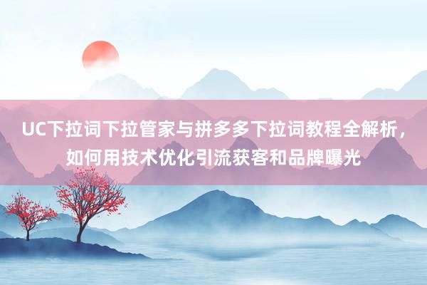 UC下拉词下拉管家与拼多多下拉词教程全解析，如何用技术优化引流获客和品牌曝光