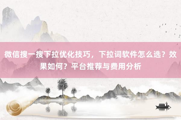 微信搜一搜下拉优化技巧，下拉词软件怎么选？效果如何？平台推荐与费用分析