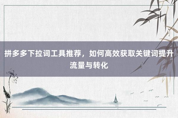 拼多多下拉词工具推荐，如何高效获取关键词提升流量与转化