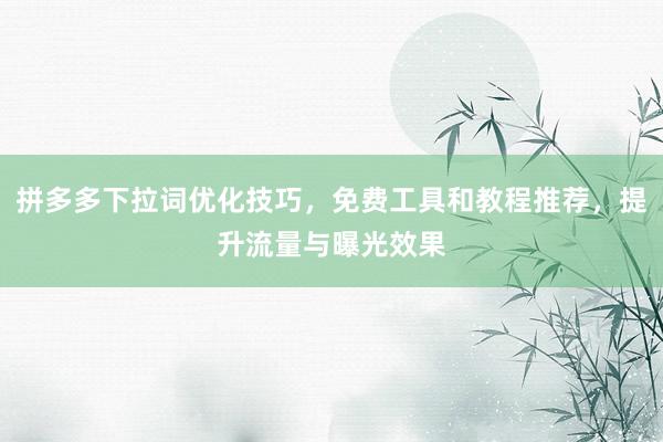 拼多多下拉词优化技巧，免费工具和教程推荐，提升流量与曝光效果