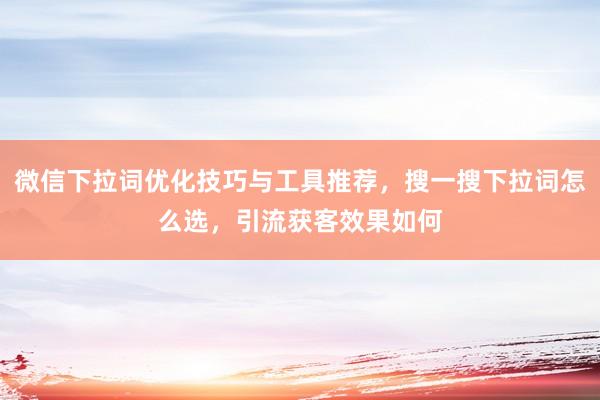 微信下拉词优化技巧与工具推荐，搜一搜下拉词怎么选，引流获客效果如何