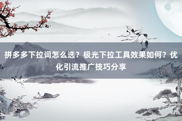 拼多多下拉词怎么选？极光下拉工具效果如何？优化引流推广技巧分享