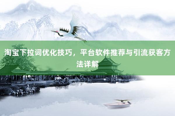 淘宝下拉词优化技巧，平台软件推荐与引流获客方法详解
