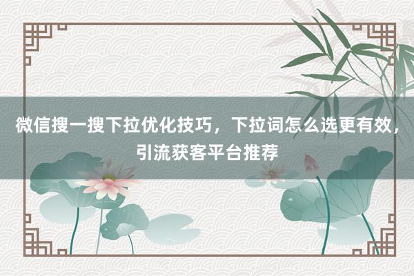微信搜一搜下拉优化技巧，下拉词怎么选更有效，引流获客平台推荐