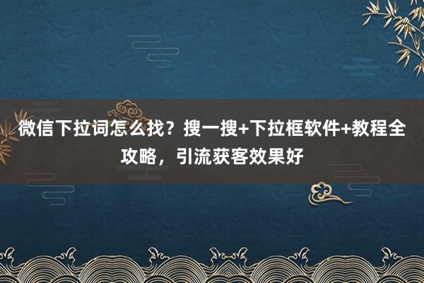 微信下拉词怎么找？搜一搜+下拉框软件+教程全攻略，引流获客效果好