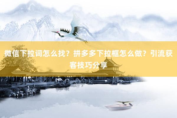 微信下拉词怎么找？拼多多下拉框怎么做？引流获客技巧分享