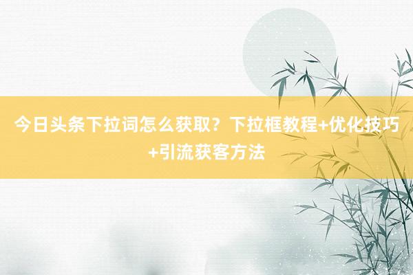 今日头条下拉词怎么获取？下拉框教程+优化技巧+引流获客方法