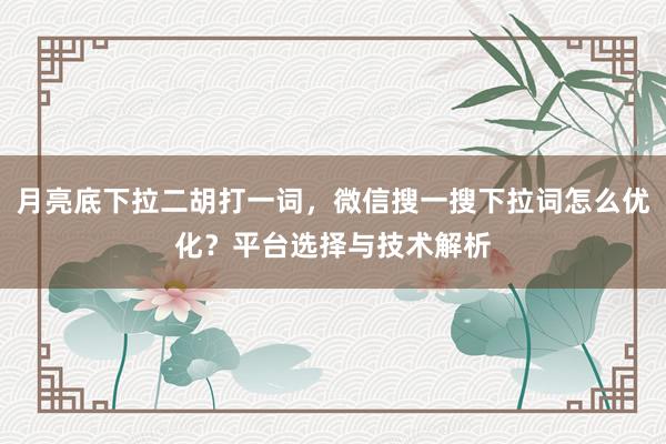 月亮底下拉二胡打一词，微信搜一搜下拉词怎么优化？平台选择与技术解析